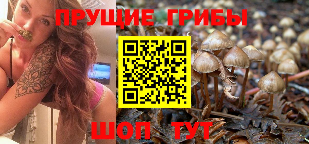 Псилоцибиновые грибы прущие грибы Дедовск